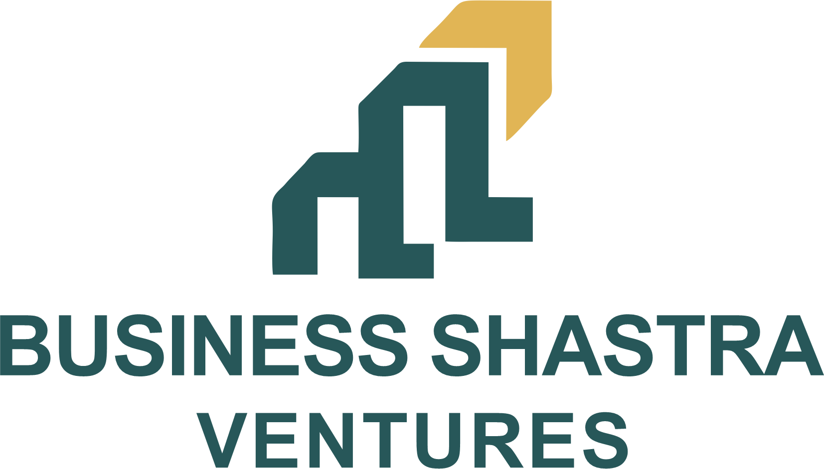 Business Shastra Logo